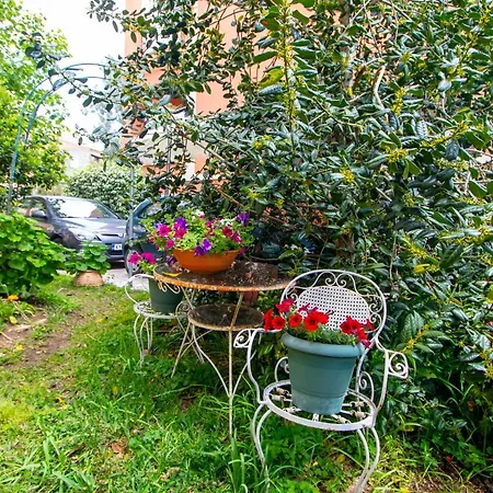 Sophie's Garden